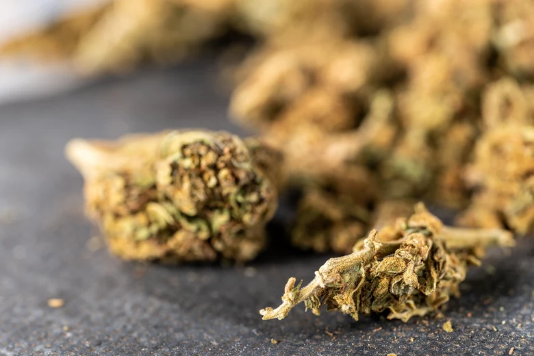 getrockneter Cannabis liegt auf einem Tisch