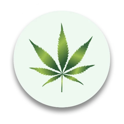gezeichnetes grünes Cannabisblatt auf weißem Untergrund