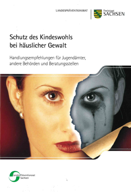 Zeigt Frontseite der Publikation mit Aufschrift: Schutz des Kindeswohls bei häuslicher Gewalt